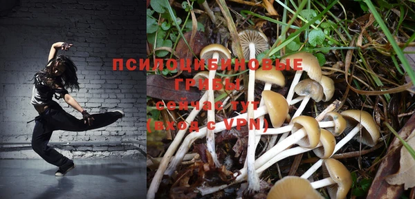 бошки Белоозёрский