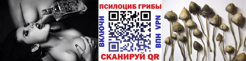 Псилоцибиновые грибы прущие грибы  купить   Горнозаводск 